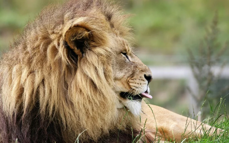 Popcorn Park Animal Refuge — Forked River, NJ