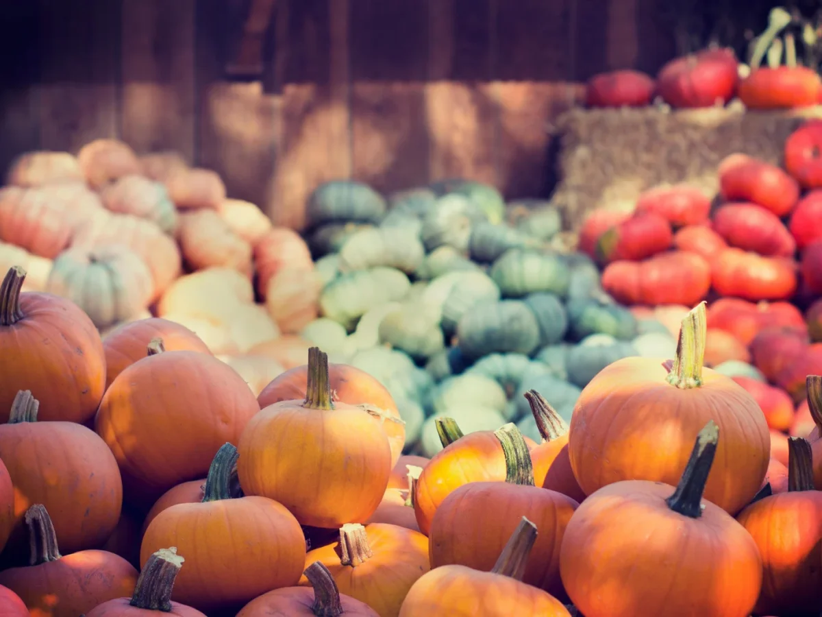 Mood’s Farm Market photo 1