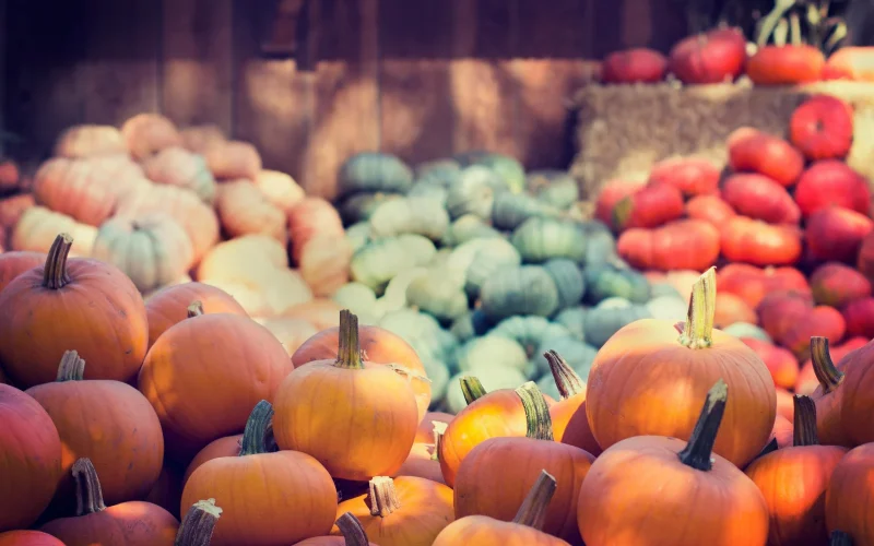 Mood’s Farm Market — Mullica Hill, NJ