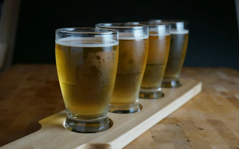 Village Idiot Brewing — Mount Holly, NJ