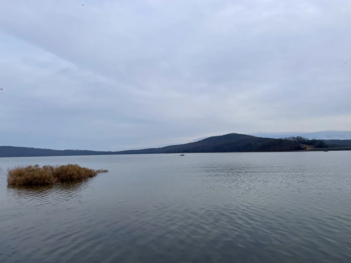 Round Valley Recreation Area in Clinton, NJ