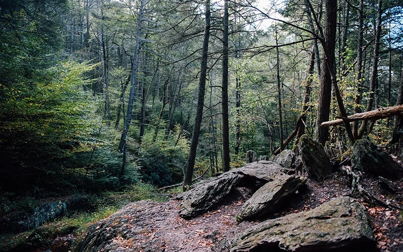Stokes State Forest — Branchville, NJ
