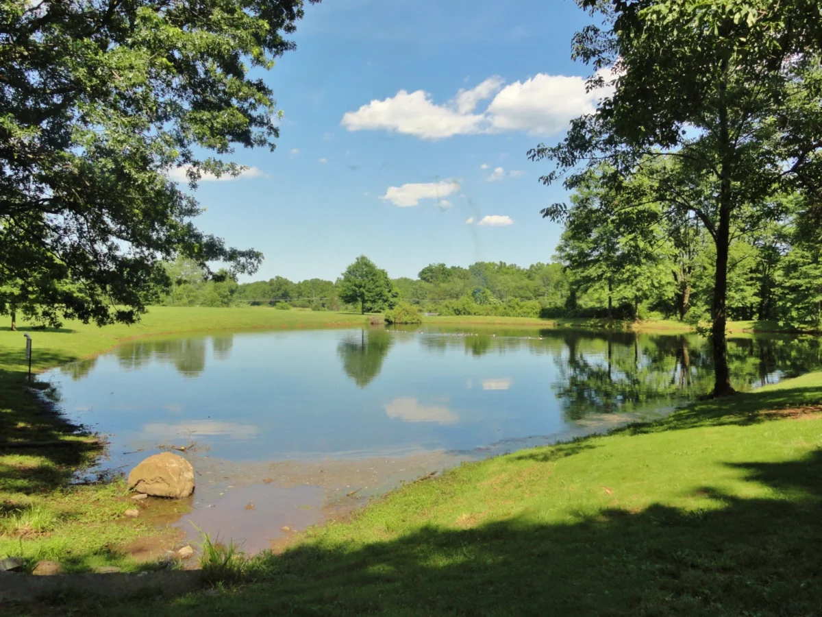 Sourland Mountain in Hillsborough, NJ