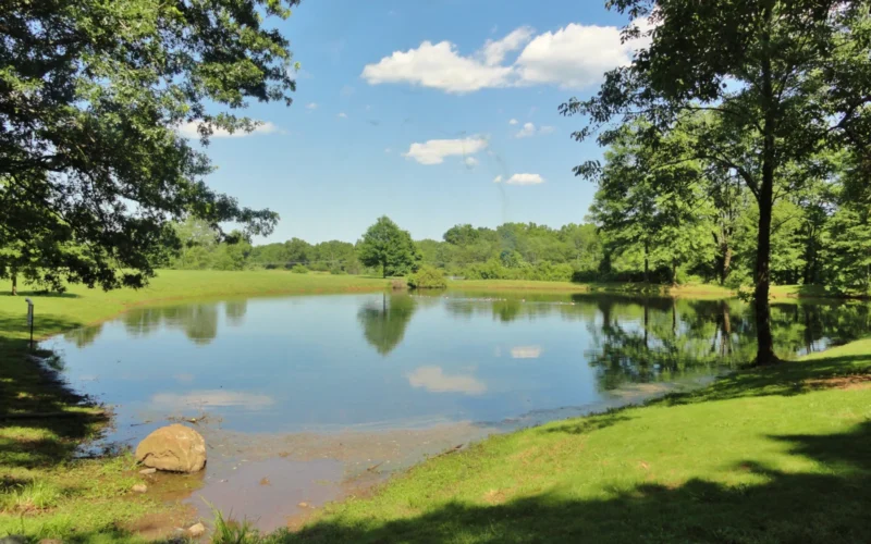 Sourland Mountain — Hillsborough, NJ