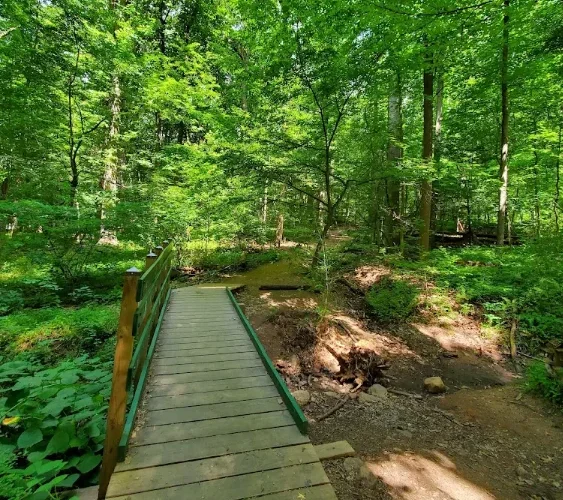 South Mountain Reservation — Turtle Back trails — West Orange, NJ