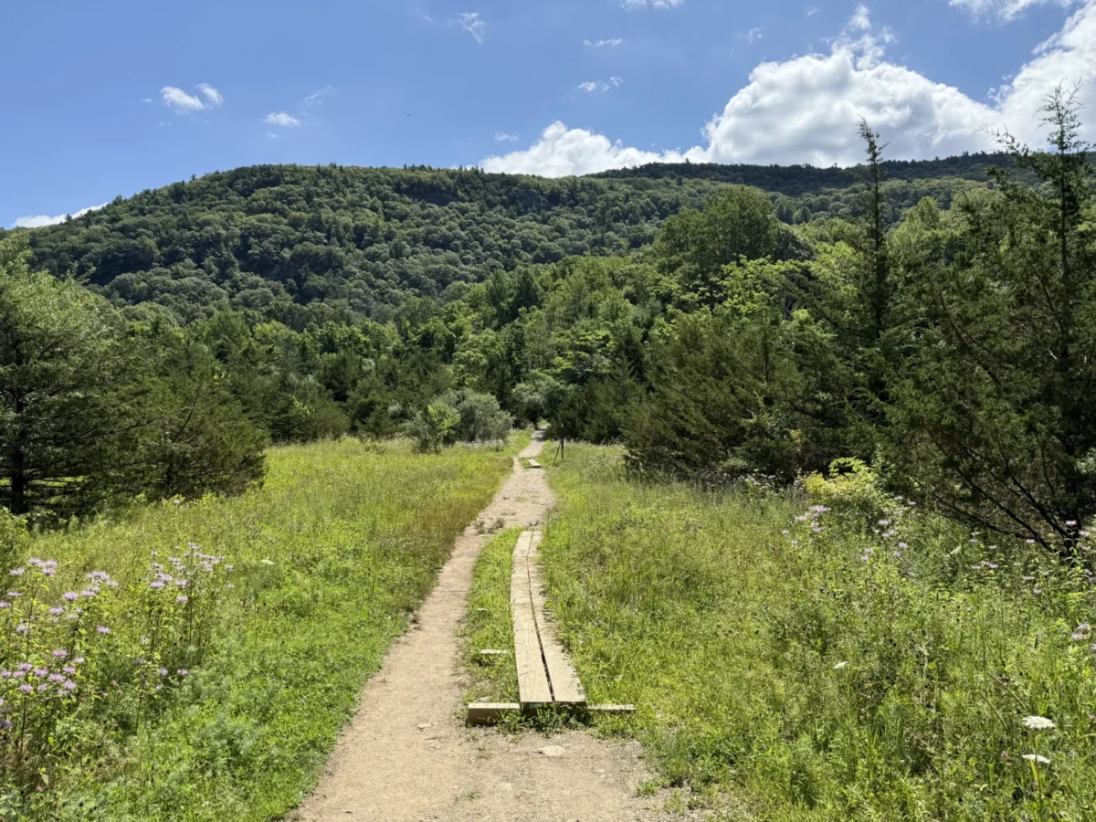 Stairway to Heaven Trail in Vernon, NJ