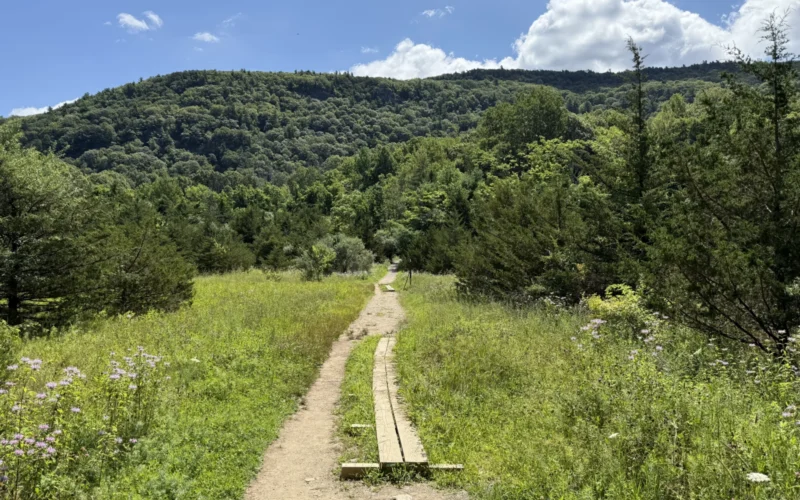 Stairway to Heaven Trail — Vernon, NJ