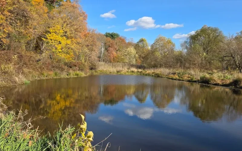 Tall Pines State Preserve — Deptford, NJ