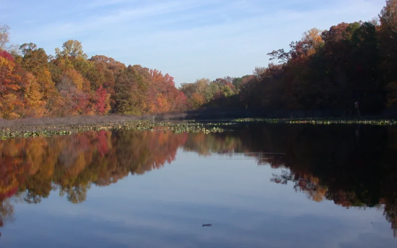 Tenafly Nature Center — Tenafly, NJ