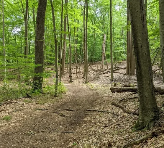 Thompson Park — lake and trails — Monroe Township, NJ