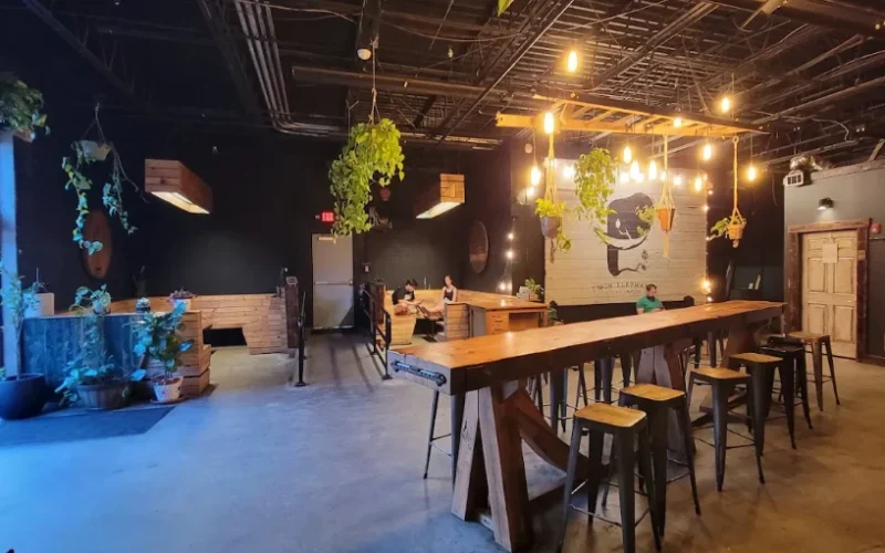 Twin Elephant Brewing — Chatham, NJ