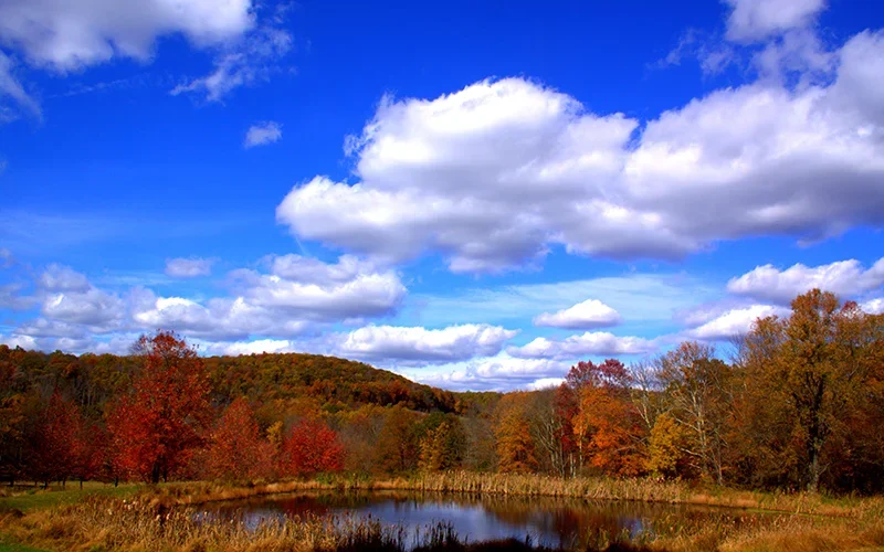 Voorhees State Park — Glen Gardner, NJ