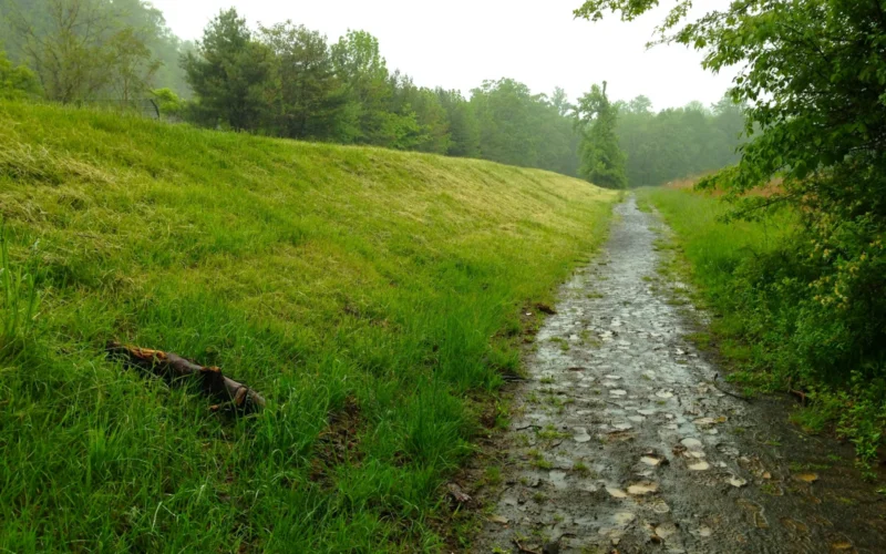 Watchung Reservation — Mountainside, NJ