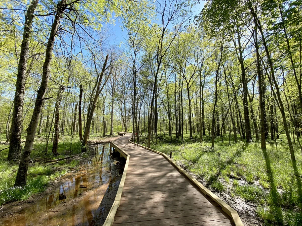 Stony Brook-Millstone Watershed trails photo 1