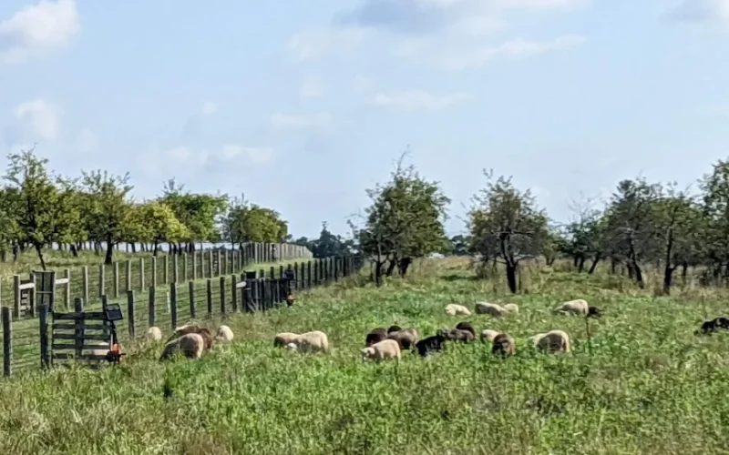 Willow Creek Farm & Preserve Trails — West Cape May, NJ