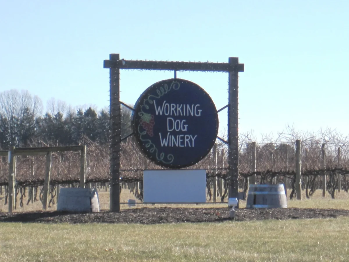 Working Dog Winery in Robbinsville, NJ