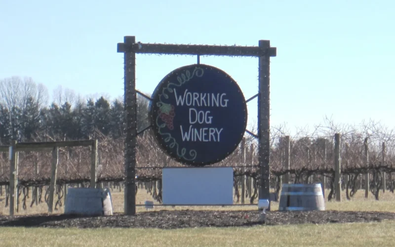 Working Dog Winery — Robbinsville, NJ